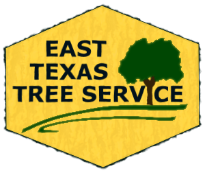 ETTS Logo Hex